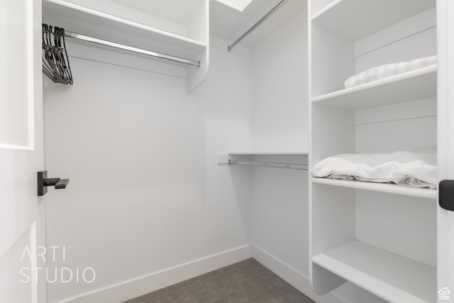 spacious closet with dark colored carpet
