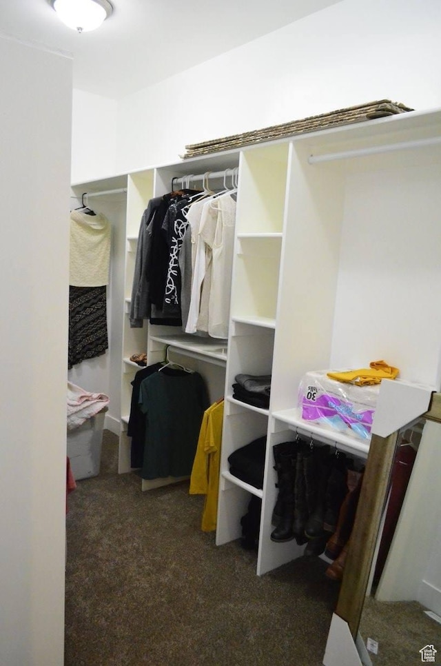 355 S 200 W, Orangeville, UT 84537 - spacious closet with dark colored carpet