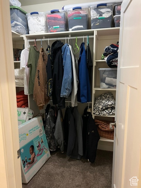 355 S 200 W, Orangeville, UT 84537 - spacious closet featuring carpet floors