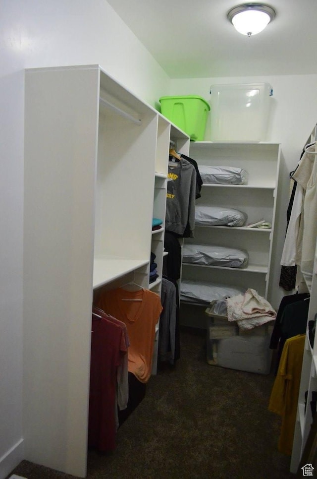 355 S 200 W, Orangeville, UT 84537 - spacious closet featuring dark colored carpet