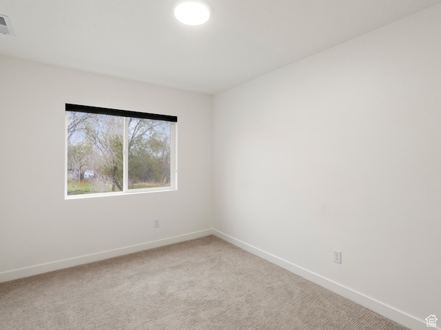 spare room with carpet