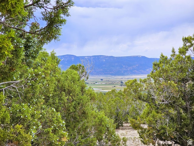 300 W 1100 S, Spring City, UT 84662