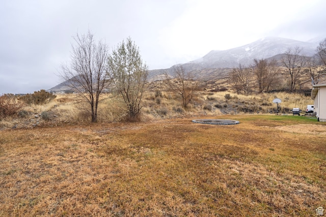 3870 Mountain Top Cir W, Cedar Hills, UT 84062 - view of yard featuring a mountain view