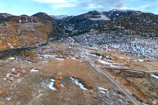 12125 E 14560 N, Mount Pleasant, UT 84647
