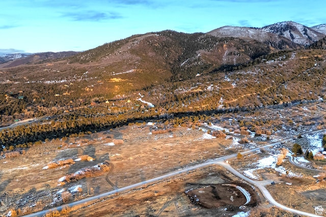 12125 E 14560 N, Mount Pleasant, UT 84647
