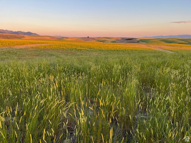 Unit 2, American Falls, ID 83211 - photo 47