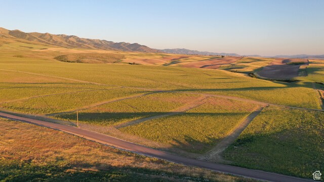 Unit 2, American Falls, ID 83211 - photo 6