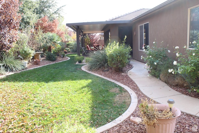 4087 Signature Way, Washington, UT 84780 - view of yard