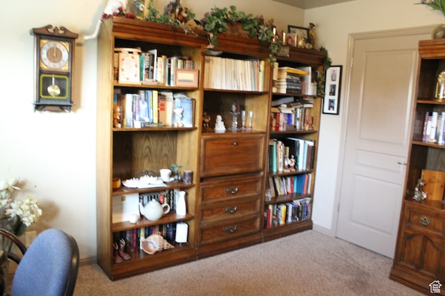 4087 Signature Way, Washington, UT 84780 - misc room featuring light carpet