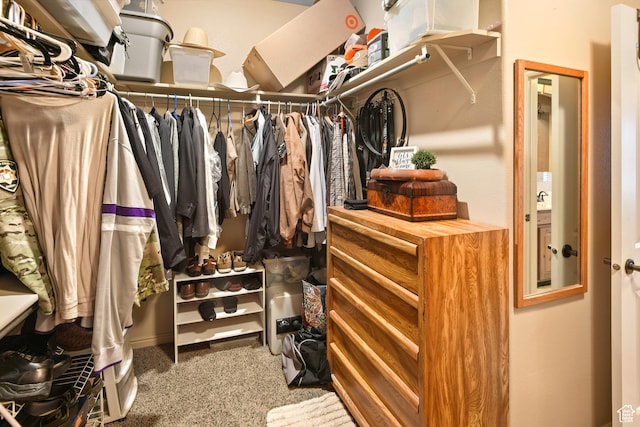 545 N 1100 E, Beaver, UT 84713 - walk in closet with carpet floors