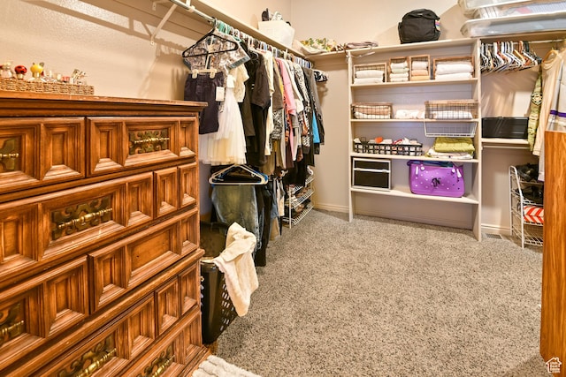 545 N 1100 E, Beaver, UT 84713 - walk in closet featuring carpet floors