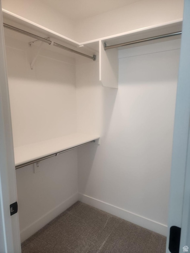 9781 N Aaron Ave Unit 207, Eagle Mountain, UT 84005 - spacious closet with carpet flooring