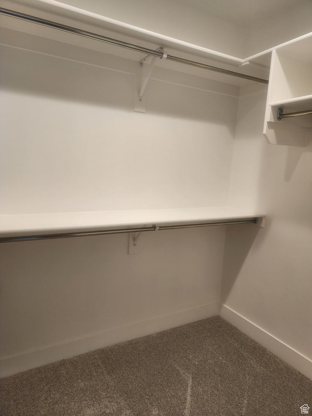 9781 N Aaron Ave Unit 207, Eagle Mountain, UT 84005 - walk in closet featuring carpet flooring