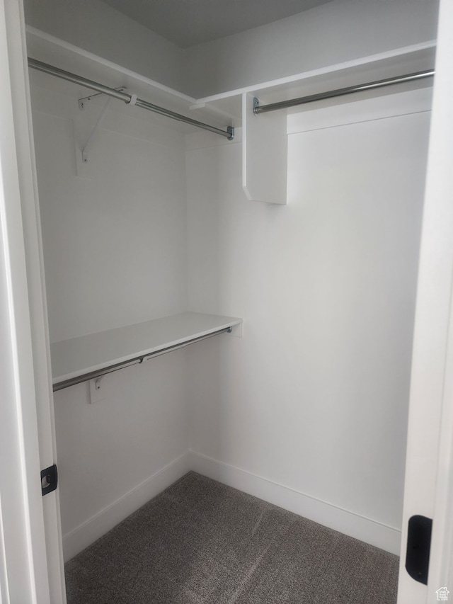 9781 N Aaron Ave Unit 207, Eagle Mountain, UT 84005 - spacious closet featuring carpet