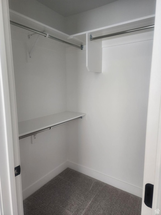 9781 N Aaron Ave Unit 207, Eagle Mountain, UT 84005 - spacious closet with dark carpet