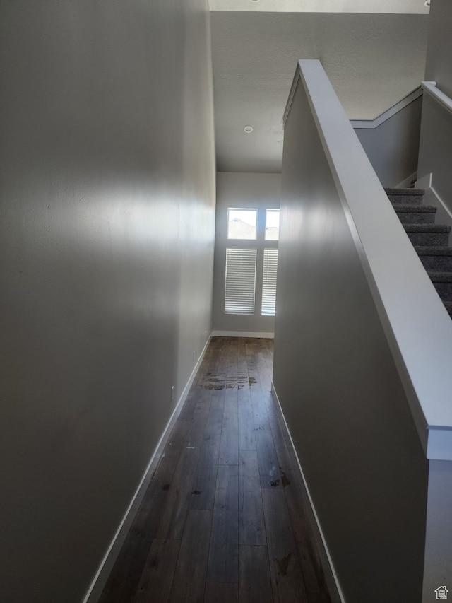9781 N Aaron Ave Unit 207, Eagle Mountain, UT 84005 - hallway with dark hardwood / wood-style floors