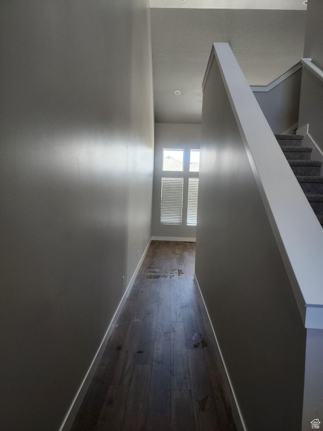 9781 N Aaron Ave Unit 207, Eagle Mountain, UT 84005 - hallway with dark wood finished floors and baseboards