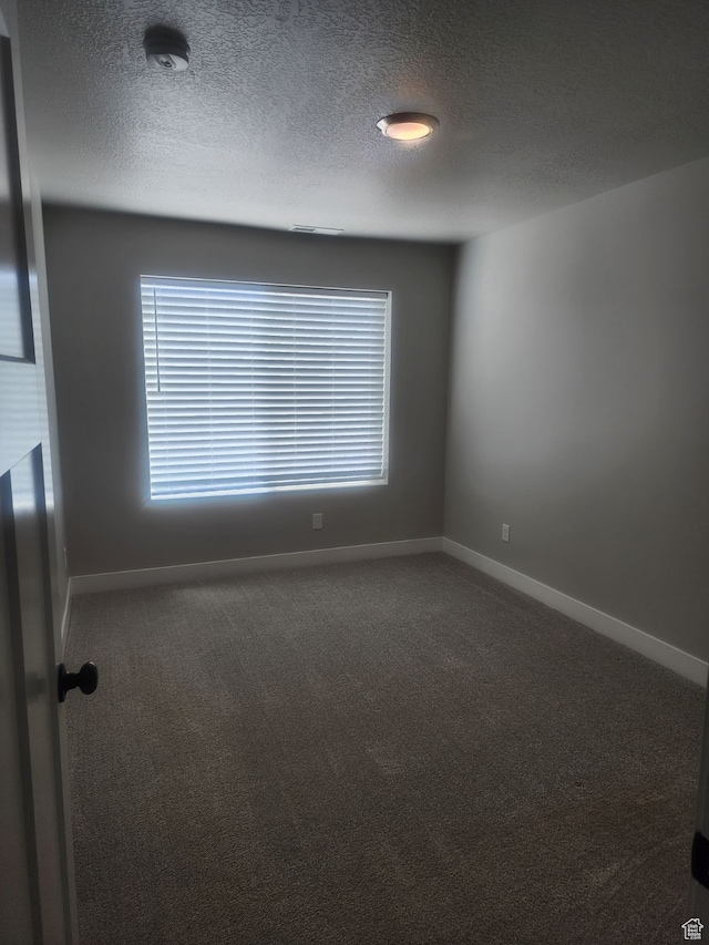 9781 N Aaron Ave Unit 207, Eagle Mountain, UT 84005 - spare room with a textured ceiling and carpet floors