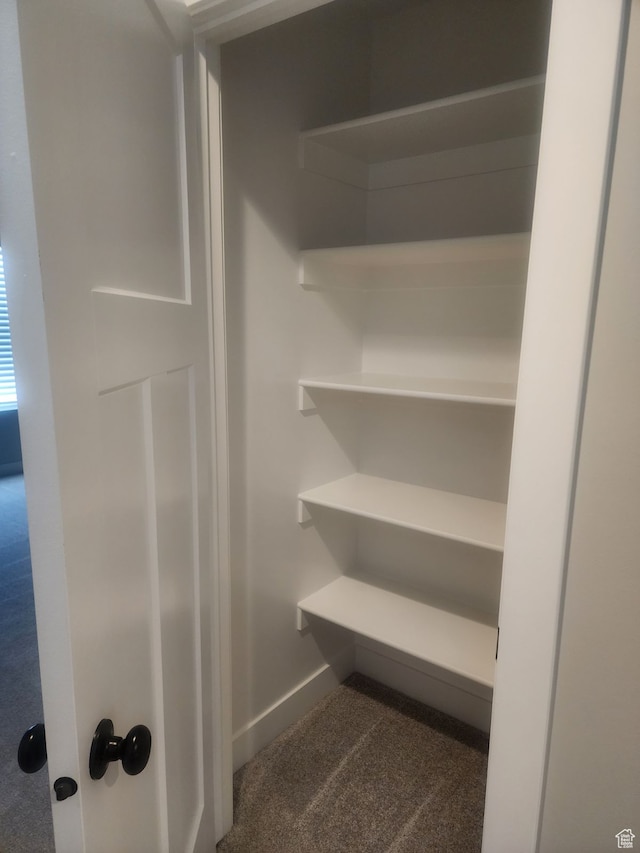 9781 N Aaron Ave Unit 207, Eagle Mountain, UT 84005 - view of closet