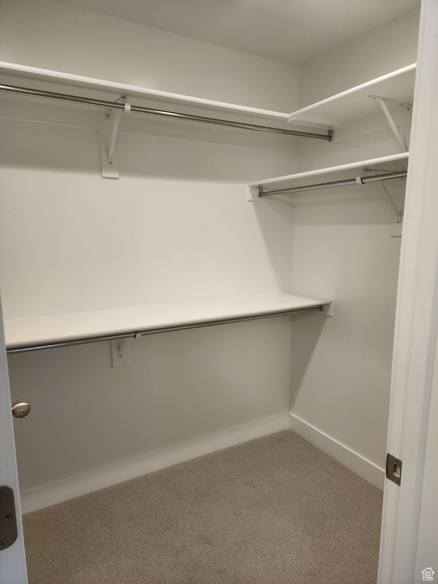 9807 N Aaron Ave Unit 210, Eagle Mountain, UT 84005 - walk in closet featuring carpet flooring