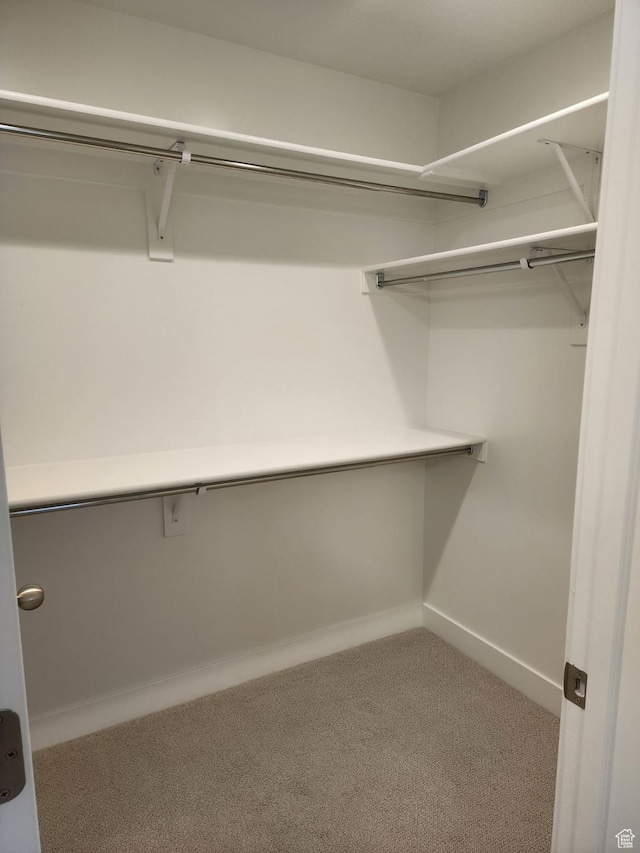 9807 N Aaron Ave Unit 210, Eagle Mountain, UT 84005 - spacious closet with carpet floors