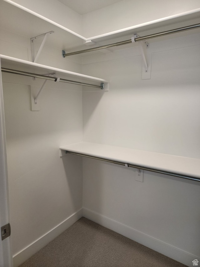 9807 N Aaron Ave Unit 210, Eagle Mountain, UT 84005 - walk in closet featuring carpet floors