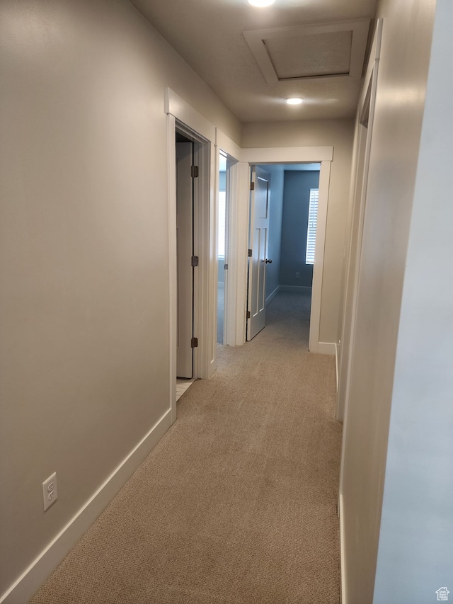 9807 N Aaron Ave Unit 210, Eagle Mountain, UT 84005 - hall with light carpet