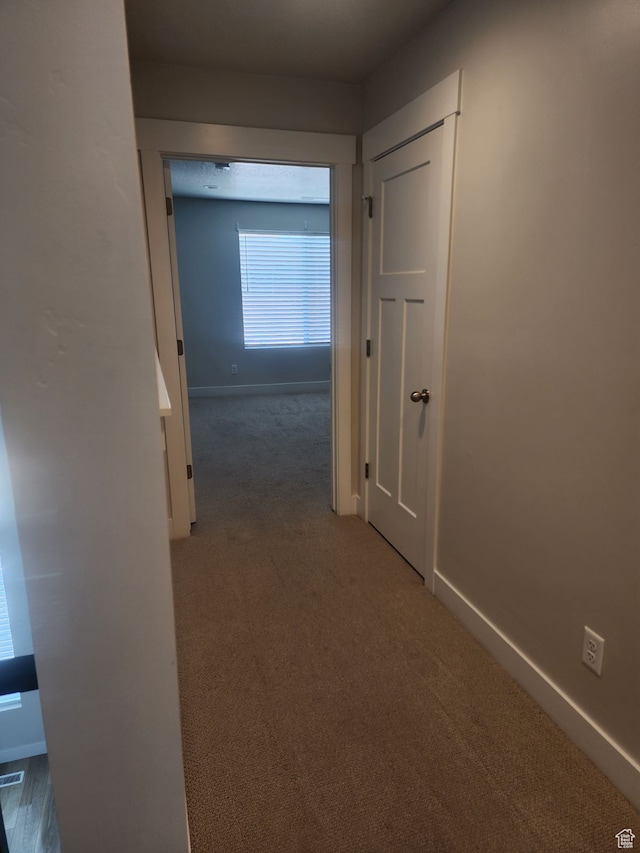 9807 N Aaron Ave Unit 210, Eagle Mountain, UT 84005 - hall featuring carpet flooring