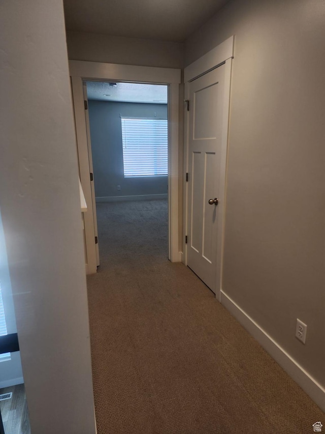 9807 N Aaron Ave Unit 210, Eagle Mountain, UT 84005 - hallway with baseboards and carpet