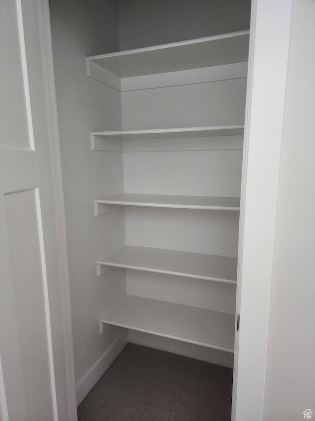 9807 N Aaron Ave Unit 210, Eagle Mountain, UT 84005 - view of closet