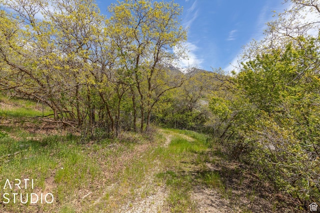 2100 E Combe Rd, South Ogden, UT 84403