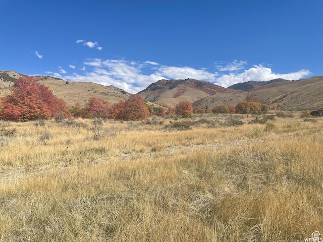 300 S 1400 E, Smithfield, UT 84335 - photo 3