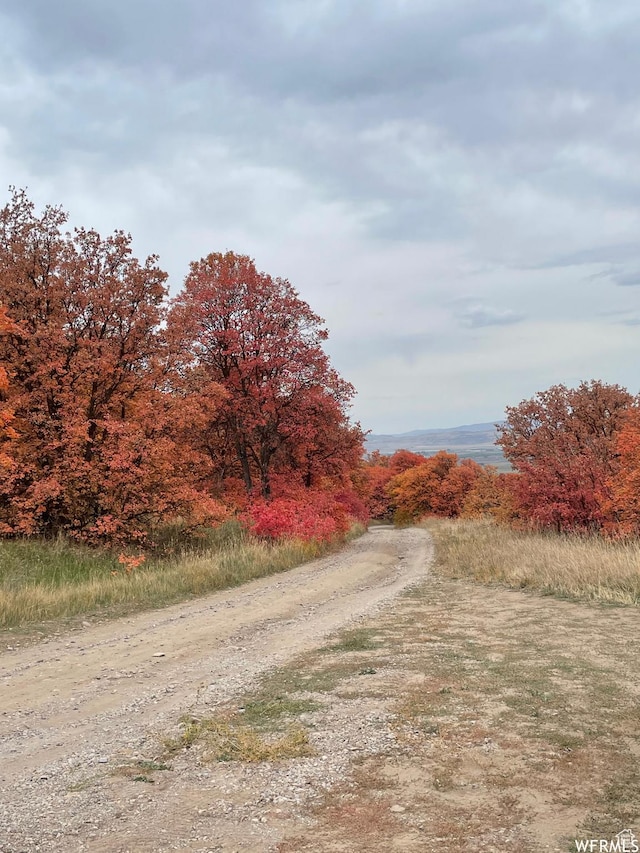 300 S 1400 E, Smithfield, UT 84335 - photo 4