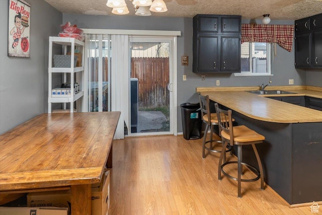 281 W 600 N Unit 4, Logan, UT 84321 - kitchen with light wood-type flooring, a textured ceiling, a wealth of natural light, and sink