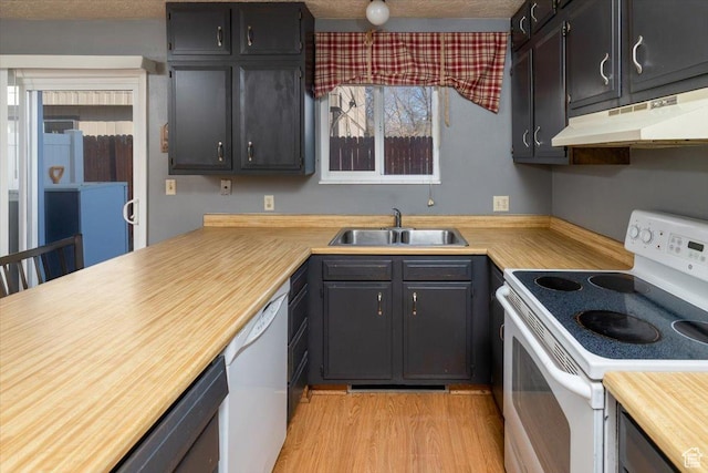 281 W 600 N Unit 4, Logan, UT 84321 - kitchen with a textured ceiling, light hardwood / wood-style floors, white appliances, and sink