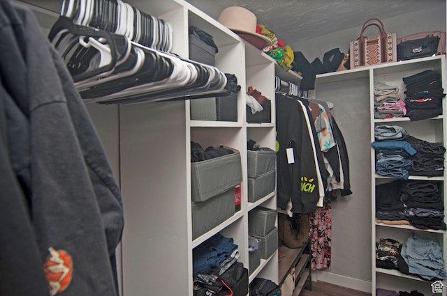 spacious closet with wood finished floors