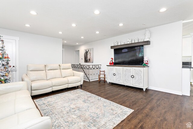 121 W Main St N, Fairfield, UT 84013 - living room featuring dark hardwood / wood-style flooring