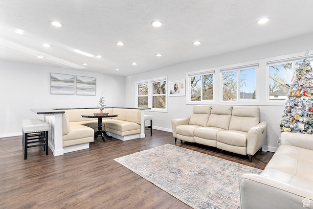 121 W Main St N, Fairfield, UT 84013 - living room featuring dark hardwood / wood-style floors and a wealth of natural light