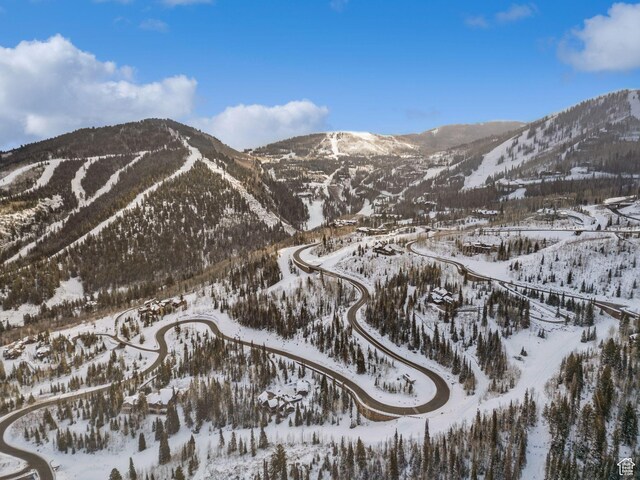 39 White Pine Rd, Park City, UT 84060 - photo 119
