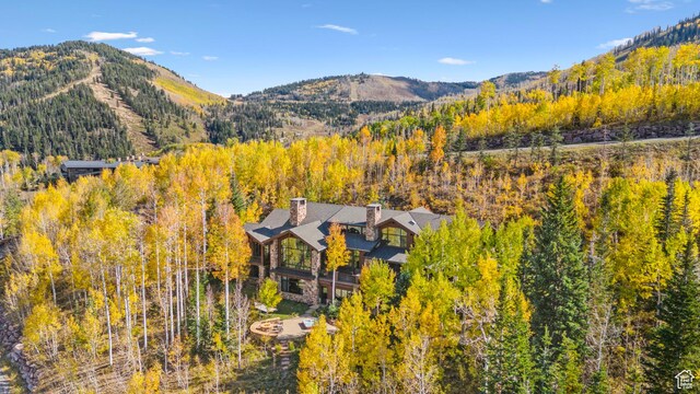 39 White Pine Rd, Park City, UT 84060 - photo 19