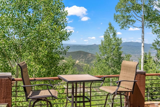 39 White Pine Rd, Park City, UT 84060 - photo 112