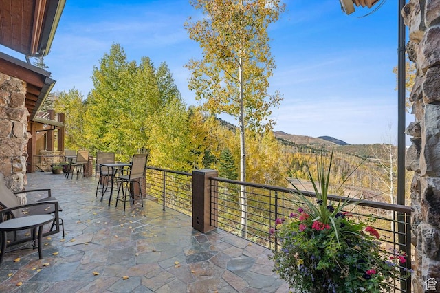 39 White Pine Rd, Park City, UT 84060 - photo 111