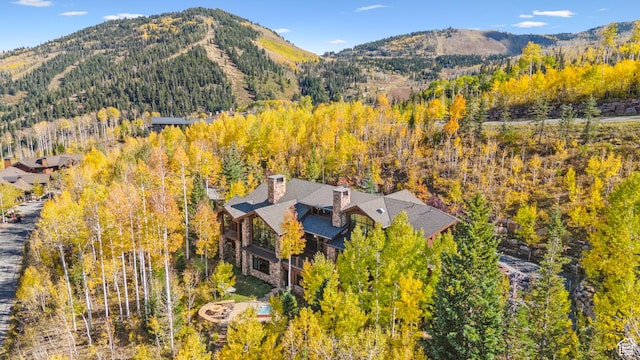 39 White Pine Rd, Park City, UT 84060 - photo 15
