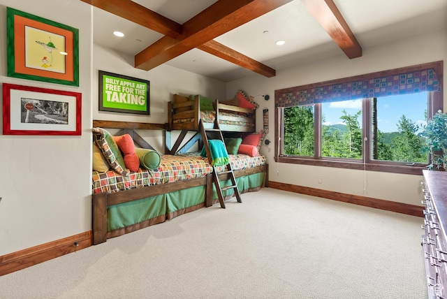 39 White Pine Rd, Park City, UT 84060 - photo 66