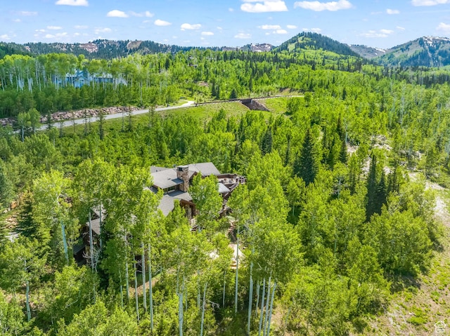 39 White Pine Rd, Park City, UT 84060 - photo 116