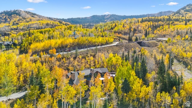 39 White Pine Rd, Park City, UT 84060 - photo 115