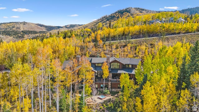 39 White Pine Rd, Park City, UT 84060 - photo 118