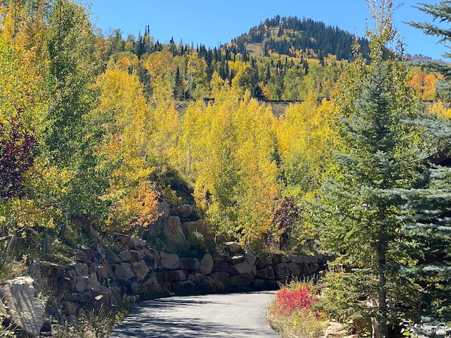 39 White Pine Rd, Park City, UT 84060 - photo 127