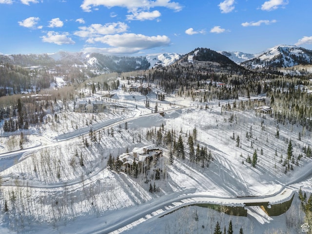 39 White Pine Rd, Park City, UT 84060 - photo 114