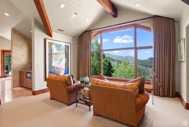 39 White Pine Rd, Park City, UT 84060 - photo 82